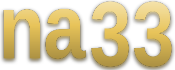na33 logo